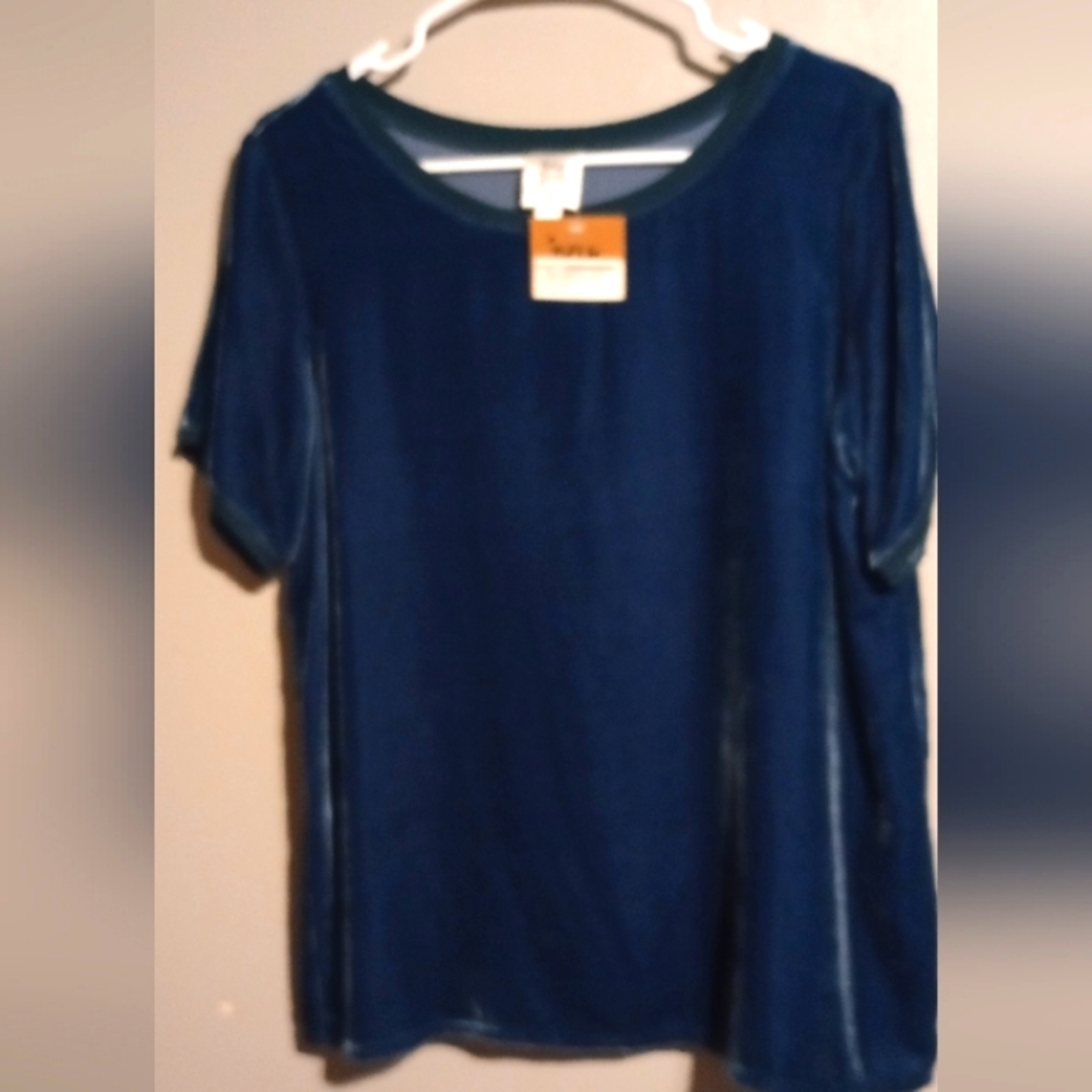 Ivy Jane Velvet Blue Short Sleeve Top